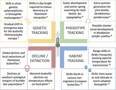 Thermal Plasticity in Insects’ Response to Climate Change and to Multifactorial Environments